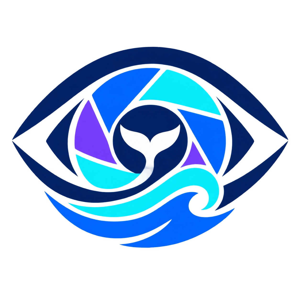 dsh-vision
